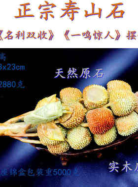 福建 源头产地博古摆件寿山石荔枝石斋一鸣惊人礼品批发名利双收