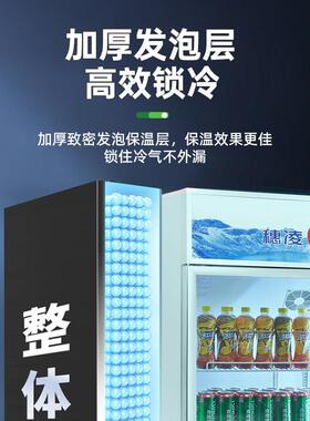 穗凌冰柜立式冷藏啤酒水冷柜饮料展示柜超市商用水果保鲜双门冰柜
