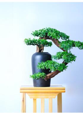 新中式家居盆景仿真迎客松罗汉松根雕摆件客厅电视柜玄关柜装饰品