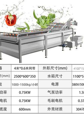 商用气泡清洗机食堂净菜加工成套设备全自动果蔬喷淋式清洗机