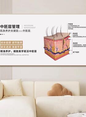皮肤管理医美诊室宣传挂画美容院墙面广告画结构剖面分析图装饰画