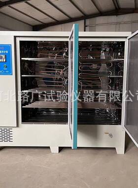 标准养护箱标准恒温恒湿养护箱水泥砼养护箱YH-40B60B90B型