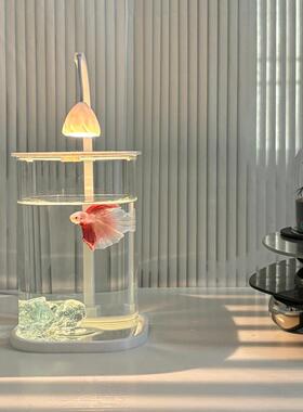 斗鱼鱼缸桌面装饰摆件造景玄关客厅旺宅高级感治愈系解压创意小众