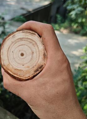 带皮杉木树墩实木墩子原木摆件树桩木桩木墩子木桩木墩子