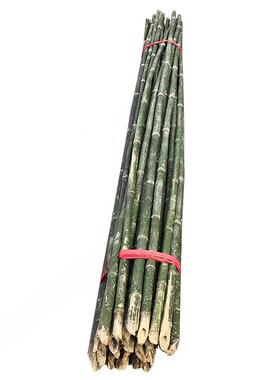 竹竿竹子菜园豆角黄瓜种菜干树枝
