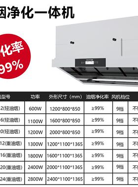双尼油烟净化一体机无烟管内循环饭店厨房学校食堂商用抽油烟机