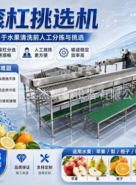 杏子气泡清洗机商用大型全自动水果喷淋清洗设备黄桃油桃山楂果蔬