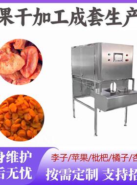 加工果脯烘干房水果清洗去皮分瓣机材清洗线果蔬脆加工设备