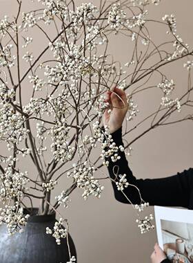 小白果乌桕果干花树枝侘寂风复古花瓶摆件客厅插花干枝高级感真花