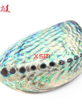 欧美婚庆装饰用品天然鲍鱼贝鱼缸水族箱造景家居装饰貝殼用品