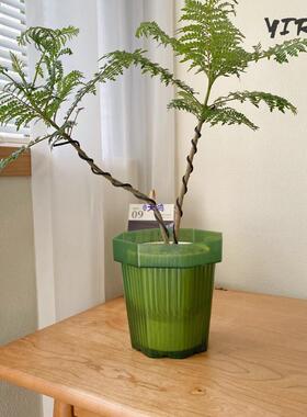 半透彩色塑料花盆加厚龙鳞春羽水培彩叶芋花烛蕨类种植透气养根