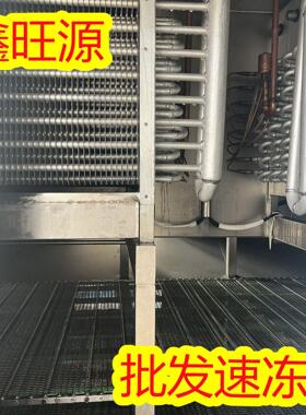 全自动隧道式速冻机面团生胚披萨汉堡香菇速冻鸡爪鸡胗鸡腿速冻
