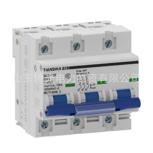 天水二一三TIANSHUI213小型断路器DZX2-100 2P80A3PC100A空气开关 - 图3
