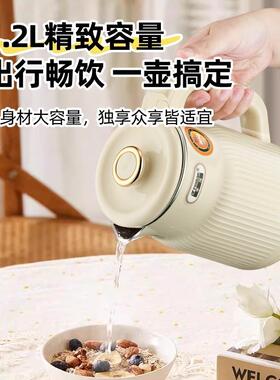 烧水壶小型宿舍学生1.2升电热水壶500W小功率迷你300W车载电水壶