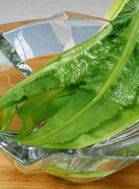 仿真蔬菜模型假生蔬菜西兰包菜心葱香菜蒜道具橱柜家居样版房装饰