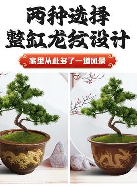 龙缸花盆特价陶瓷盆景大口径铁树盆透气庭院特大型陶土大缸盆清仓
