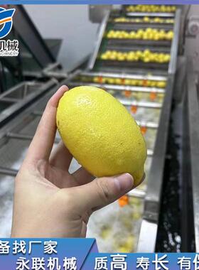 永联全自动喷淋式清洗机柠檬清洗机青柠加工设备青柠清洗设备