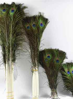 孔雀毛真羽毛家里摆设的装饰品客厅摆件大件插孔雀毛羽毛的花瓶
