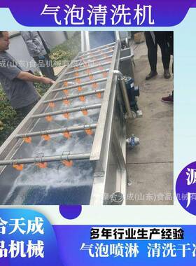商用果蔬气泡清洗机桃子清洗设备大姜胡萝卜压清洗材清洗线