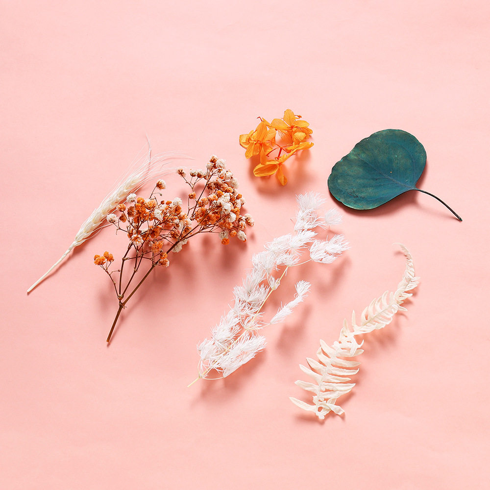 真永生花干花diy材料包相框装饰摆件天然风干花束团扇三八节手工,淘宝优惠券,粉丝福利购,淘宝优惠卷