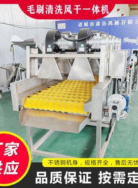 商用果蔬平行毛辊清洗机黄桃毛辊清洗风干线新会柑毛刷清洗机设备