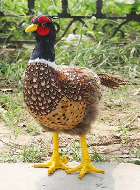 紫麟 仿真山鸡 花园摆饰园艺动物摆设 羽毛工艺品创意家居装饰品