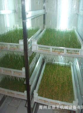 全自动商用豆苗机中型大型多功能育苗设备豆苗机厂供应