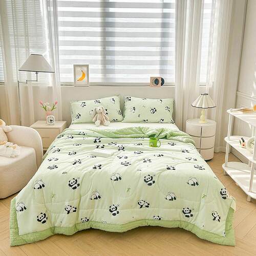 Sofe Comforter Duvet Blanket Air Condition Quilt Summer 夏被 - 图1