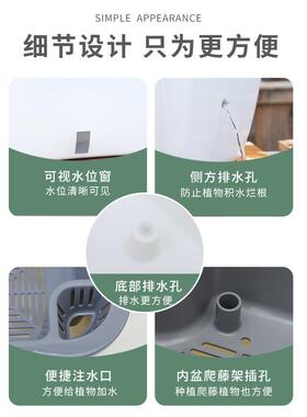 阳台种菜盆家庭蔬菜种植盆专用箱自吸水室内草莓盆栽懒人塑料花盆