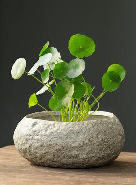 创意个性石头铜钱水培花盆花瓶