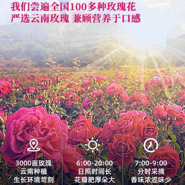 鲜花饼云南特产玫瑰花饼正美食宗礼盒装糕点心甜品早餐饼干小零食,淘宝优惠券,粉丝福利购,淘宝优惠卷