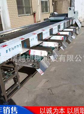 大型橙李子子分选瑞越机 功能土多豆葱筛选机洋 不锈钢草莓滚杠分