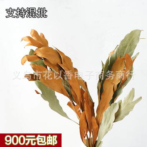 【双色银桦叶】进口干叶材干花束瓶插客厅装饰绿色黄色高级感插花 - 图0