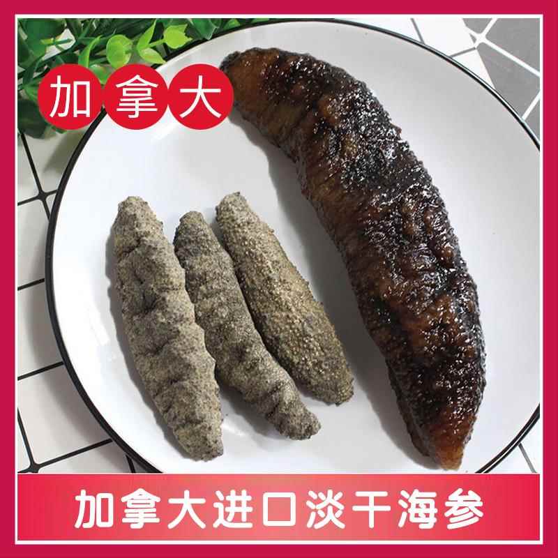 加拿大进口淡干北极参刺参干货海参原货500g包邮非即食海参-图0