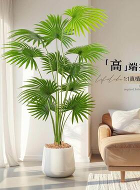 仿真绿植假植物造景高端轻奢大型室内盆栽装饰摆件蒲葵仿真花摆