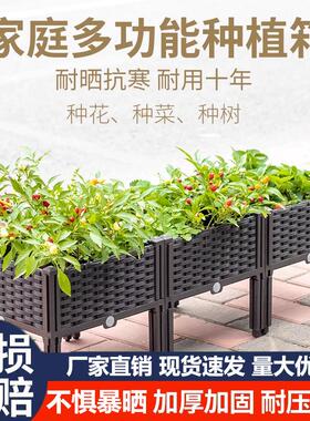 加厚款阳台楼顶种菜花盆种植花箱树脂塑料蔬菜专用树脂加厚花箱