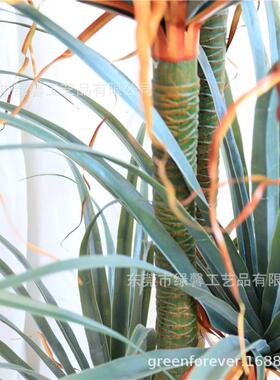 北欧风仿真植物绿植仿生落地龙血铁盆景室内客厅装饰假盆栽千年木