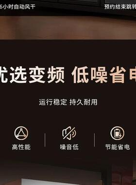 干柜鸥科风晾鸭柜用鹅烧腊烧鸭乳商鸽风干机烧智能保鲜晾胚柜