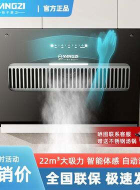 扬子小型抽油烟机家用厨房大吸力小尺寸吸烟机出租房脱排抽烟机