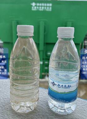 全自动水处理设备黄泥水河水山泉无阀过滤器一体化净水器生产厂家