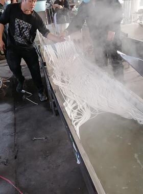 天诚牌大型不锈钢鲜土豆粉生产机器 商用多功能宽粉机羊粉机