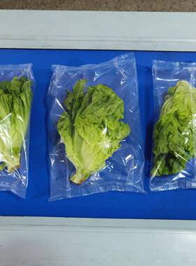 全自动枕式蔬菜包装机械设备水果套袋机甜玉米包装机厂家直供