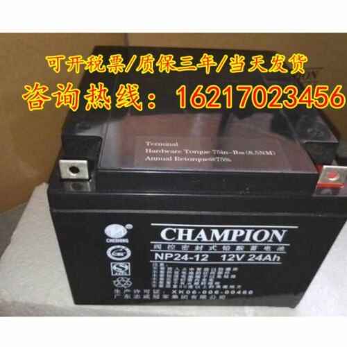 CHAMPION志成冠军UPS蓄电池NP100-12/12v7a17a24a38a65a100a120ah - 图0