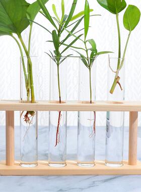 北欧ins 木架水培容器玻璃试管花瓶水养绿萝干花植物花器家居摆件