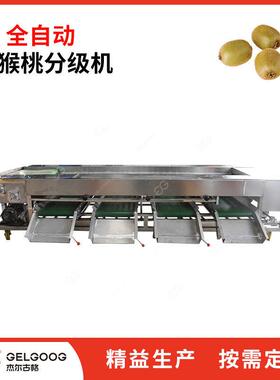 猕猴桃选果设备 奇异果自动分级分拣机械  食品厂水果分级分选机