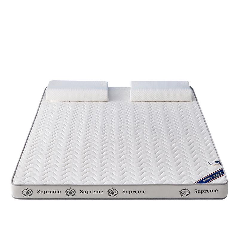 厂家直销定制海绵垫家用出租屋记忆棉床垫午睡垫榻榻米垫子高密度 - 图3