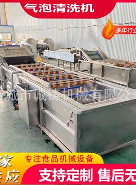 工厂用中药材气泡清洗机麦冬鼓泡喷淋清洗去杂设备桔梗喷淋清洗线