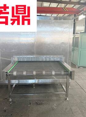 火龙果速冻机 水果蔬菜流态化速冻设备厂家 低温快速冷冻机器