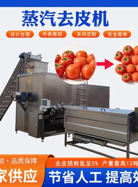 中鼎蒸汽去皮机 番茄西红柿树柿子去皮不间断温爆皮机深加工设