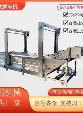 全自动肉制品水浴式清洗解冻流水线小型冷冻产品提升式气泡解冻机